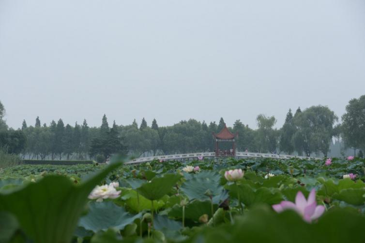 湖北近郊自驾游最美湖泊景点推荐，湖北周末周边自驾游好去处攻略