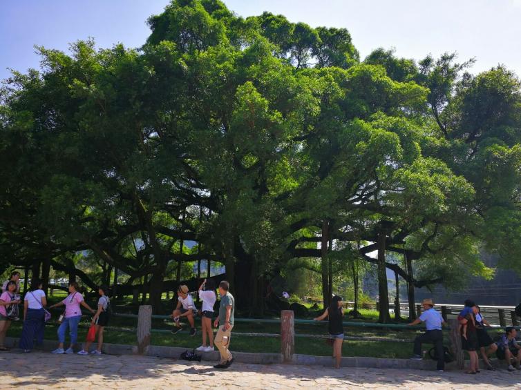 假期桂林周边错峰自驾游去哪里好玩，7个桂林鲜为人知自驾游景点推荐