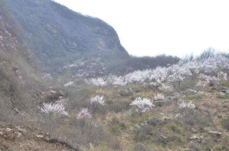 端午节辽宁省内自驾游小众景点推荐，7个辽宁周边人少景美的好去处推荐