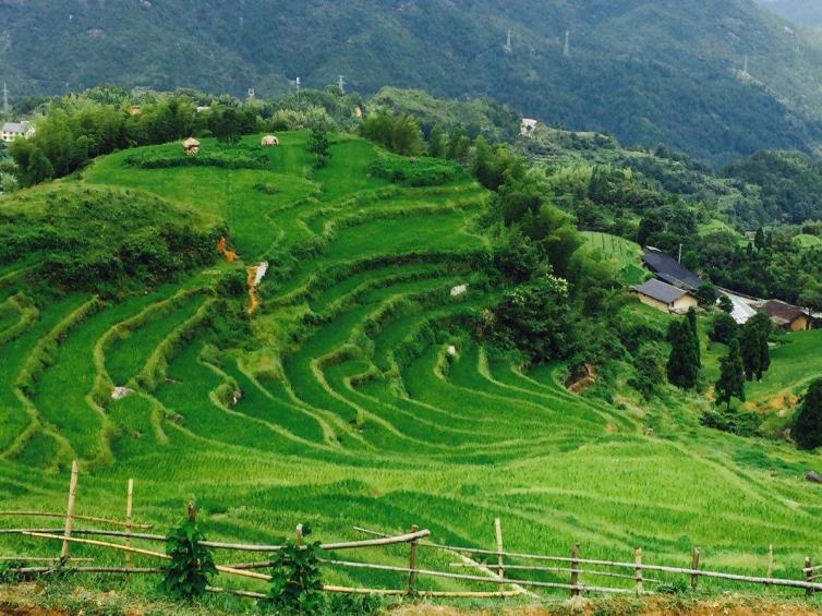 五一假期最佳爬山、看水、赏花等自驾游景点线路推荐，五一自驾游去哪里好玩