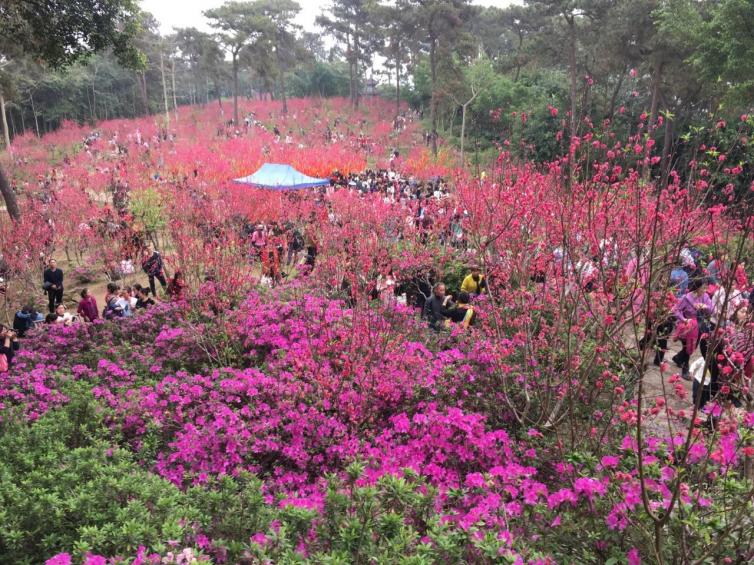 5个春节南宁自驾游最受欢迎的胜地，都是不错的选择