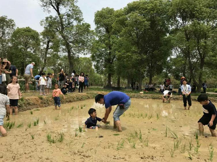 十一假期深圳周边亲子自驾游去哪好玩，6个深圳周边好玩农庄亲子自驾游路线景点最全攻略推荐