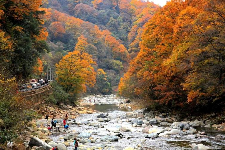 光雾山红叶自驾游各景区介绍/游玩攻略，光雾山红叶自驾游线路推荐(超详细版)