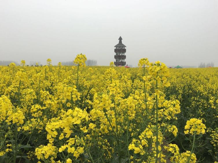 清明节南京周边自驾游路线推荐，南京出发周边自驾游路线推荐