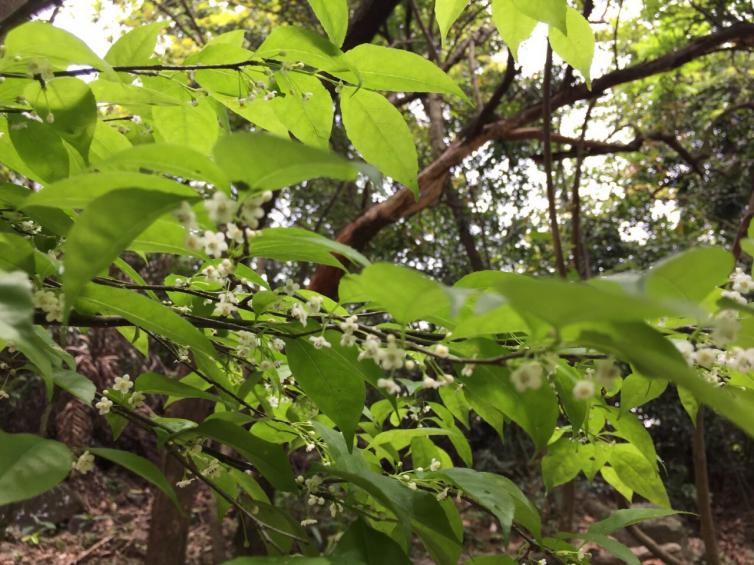 湖北黄石周末自驾游2-3天好去处推荐，9个黄石周边自驾游必去景点