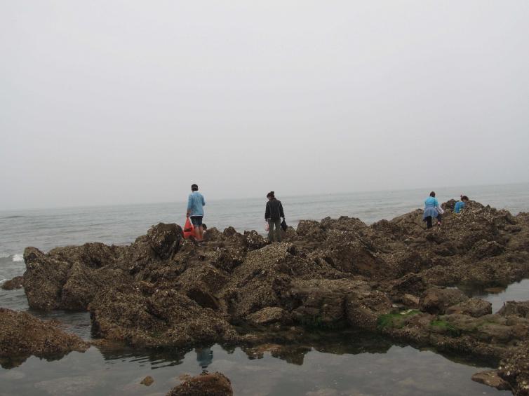 青岛周边1-2日自驾游去哪里好玩，2个最具特色/小众岛屿自驾游攻略收藏