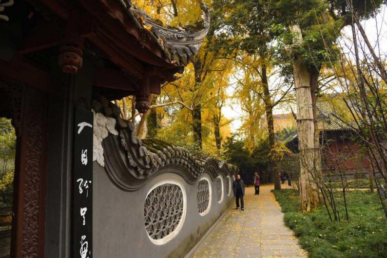 周末成都周边一日银杏观赏自驾游线路/美食/景点推荐，感受秋的气息何必去远方？