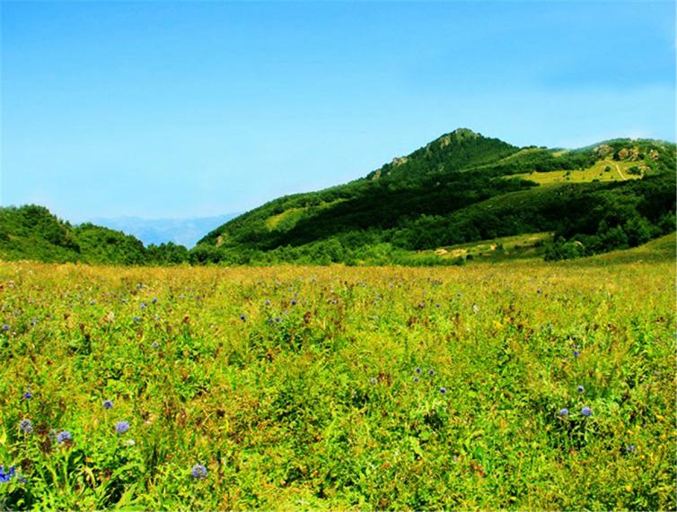 周末自驾一日游去哪玩？北京周边自驾山路美景攻略