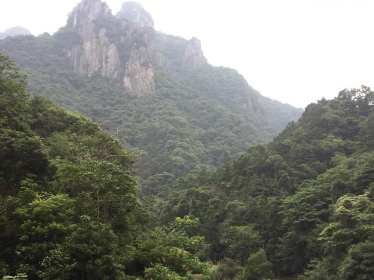 清明国内人少景美的自驾游好地方推荐，美景就在你身边