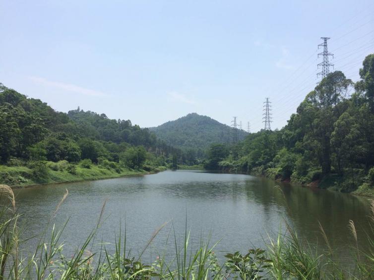 广东周边受欢迎自驾游必去景点推荐，6条广东周末自驾游好玩景点路线推荐