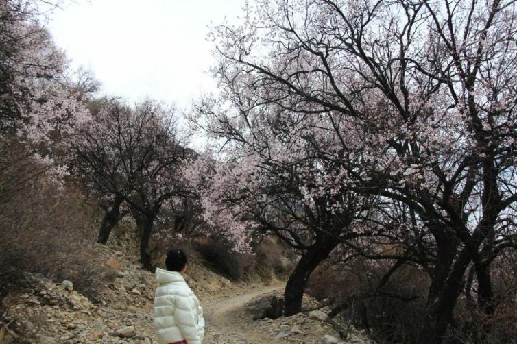 4月国内自驾游最美风景汇总，国内踏春自驾游必去景点推荐