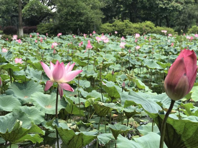 暑假广东周边自驾游去哪好玩，8个广东出发3-5日自驾游最美路线\美景攻略推荐