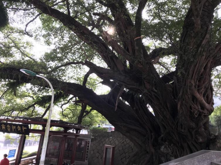 防城港周边自驾游必去景点推荐，防城港自驾游值得一去的好去处攻略