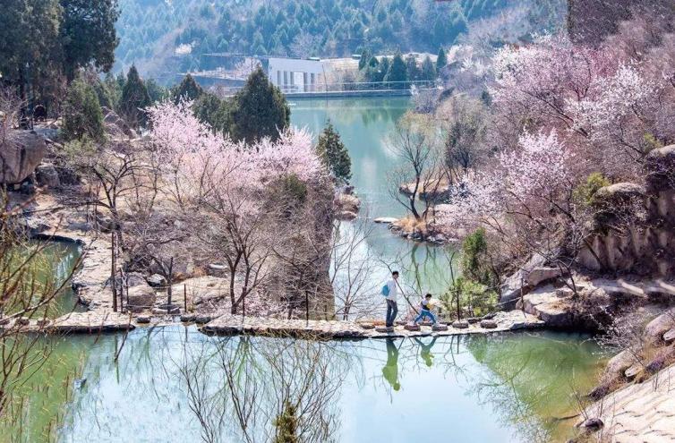 3个北京周末赏花自驾游好去处推荐，3月-5月北京周边自驾游去哪里好玩？