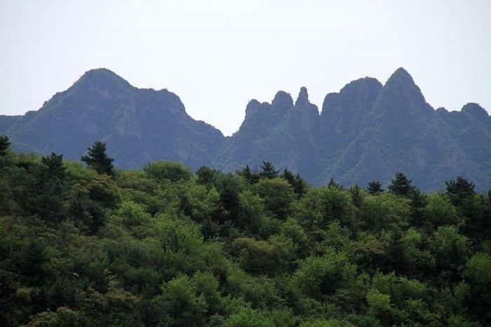 保定自驾游好去处攻略，春天保利自驾游不容错过的好风景