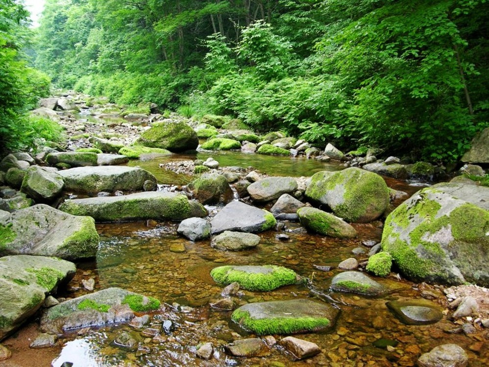 本溪大峡谷