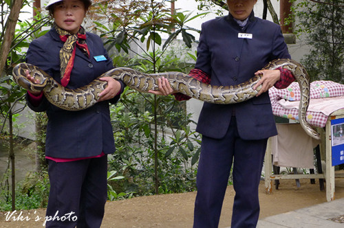 神龙岛