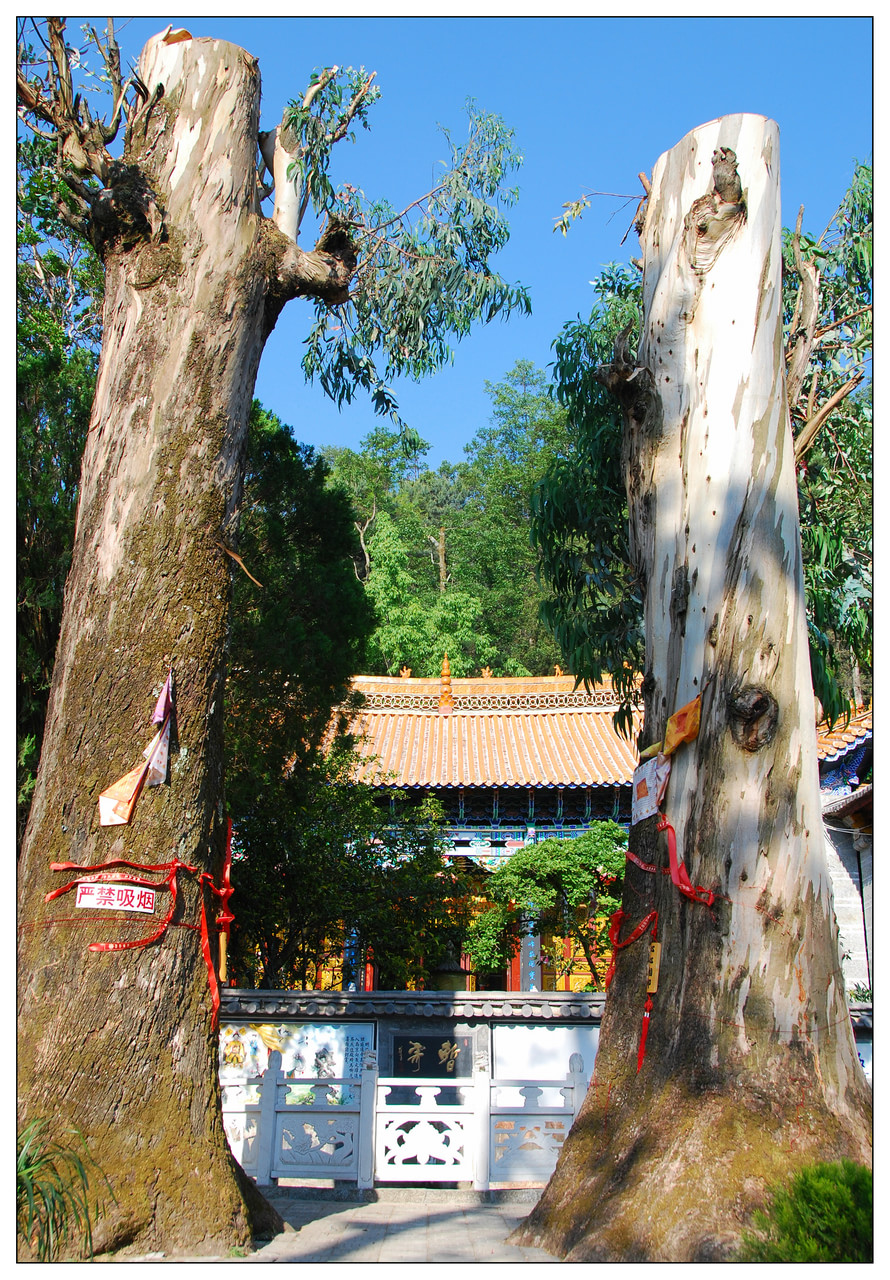 感通寺