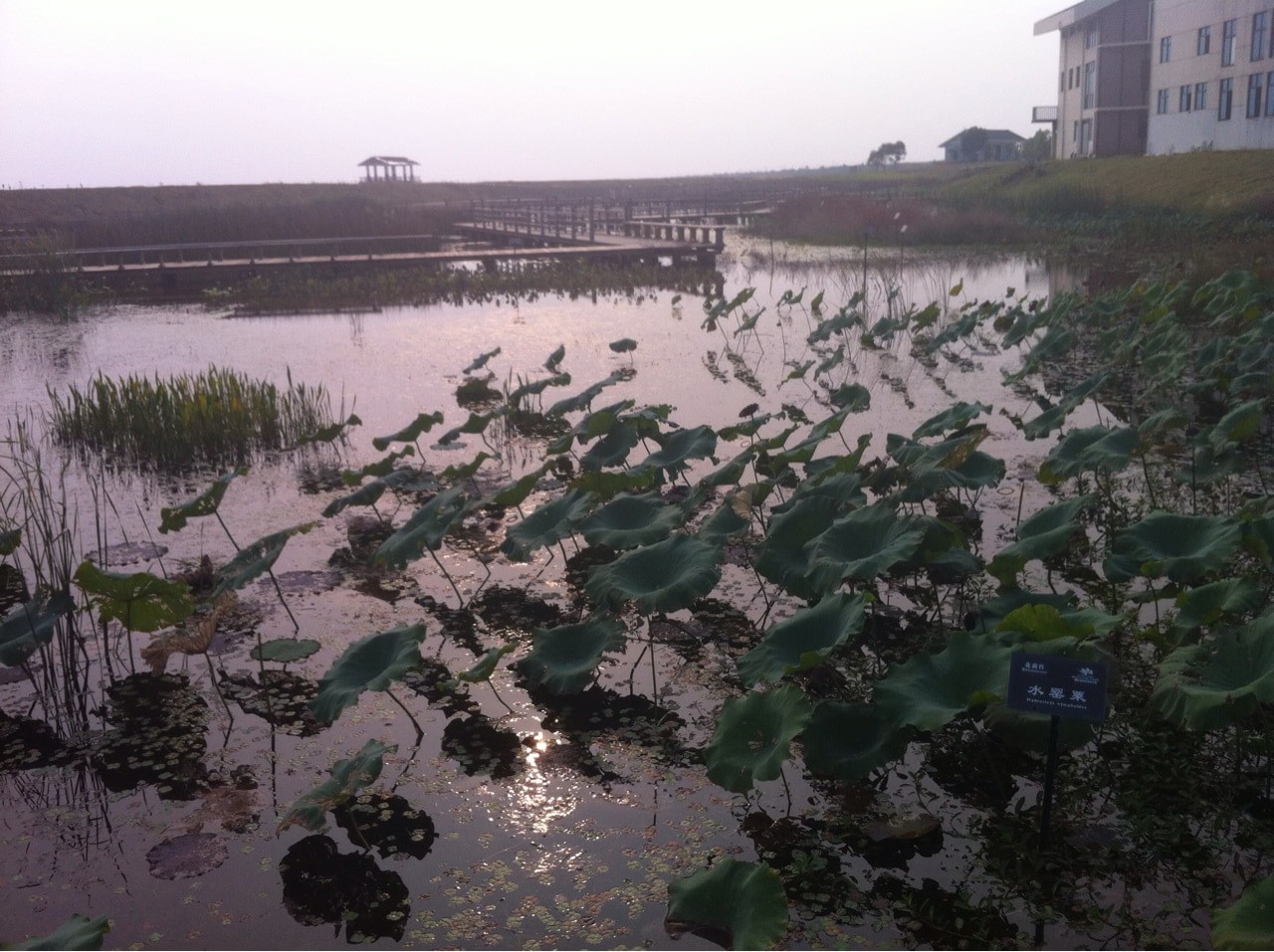 鄱阳湖国家湿地公园