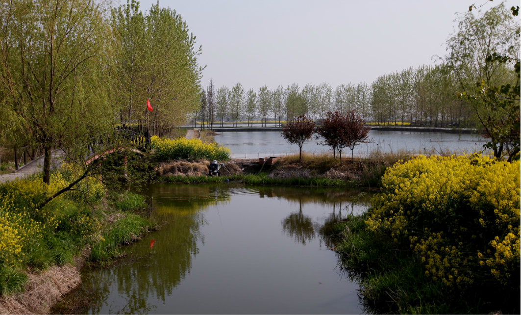 徐马荒原生态风景区