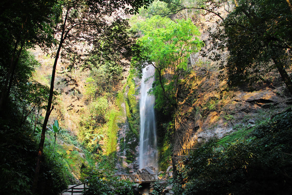 扎朵热带雨林风景区