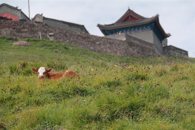 南台锦绣峰