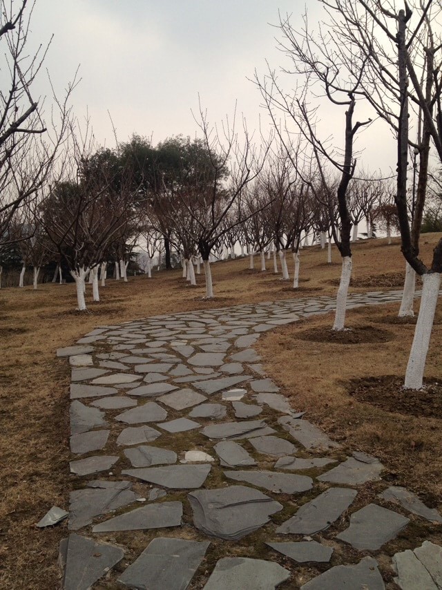 白塘生态植物园