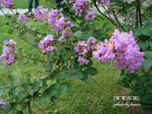 常家庄园石芸轩书院