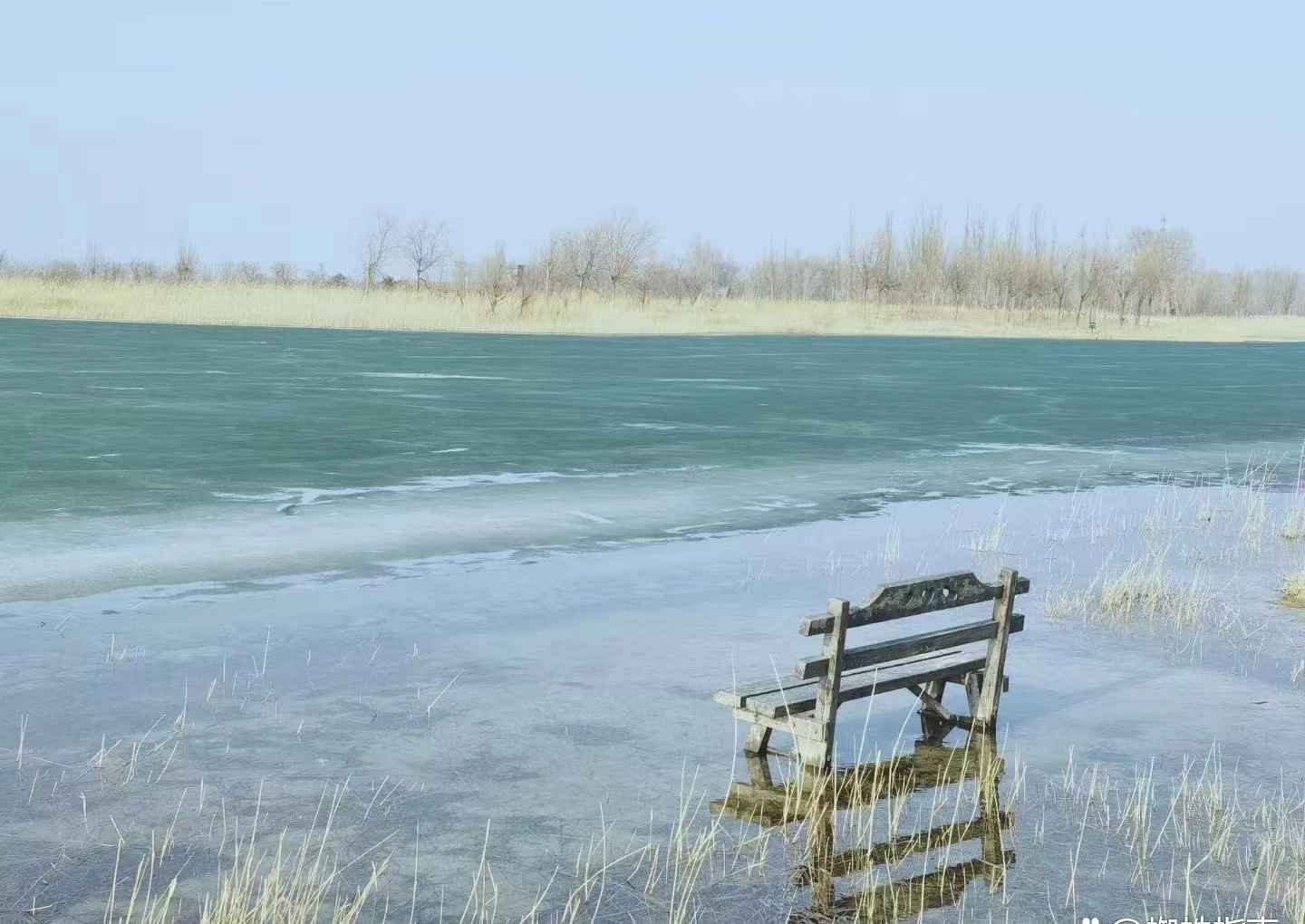 打卡北京野鸭湖湿地公园，环湖赏景，美得像是一幅诗意水墨画