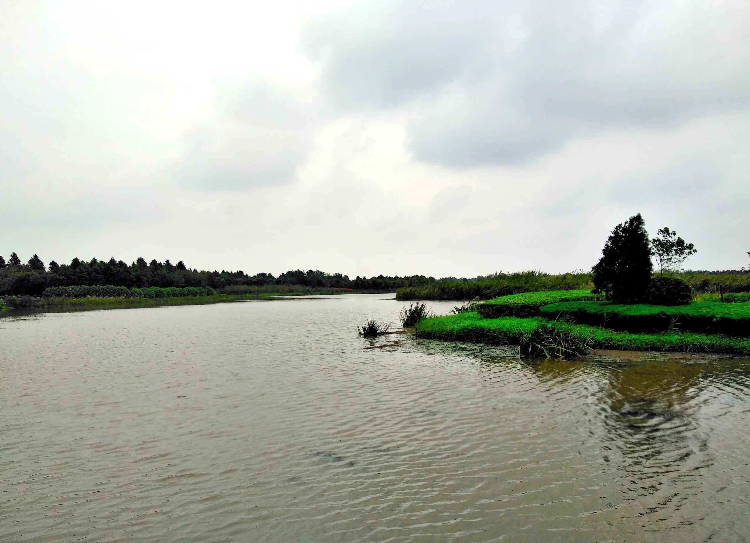 一路向东去崇明东滩湿地看海，可是那海在哪里？