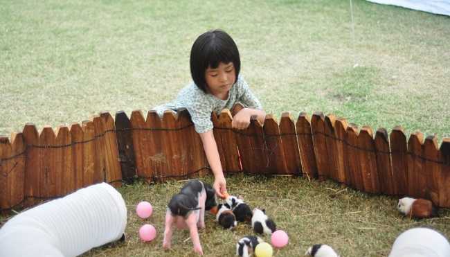 溧阳春日遛娃指南来啦！带孩子去春风里撒欢