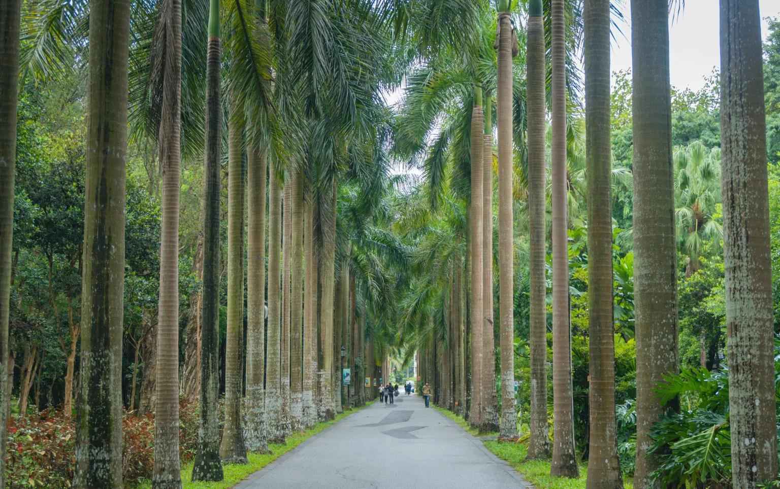 “广州”必去的打卡旅游景点，去过八个以上就很棒！你去过几个？