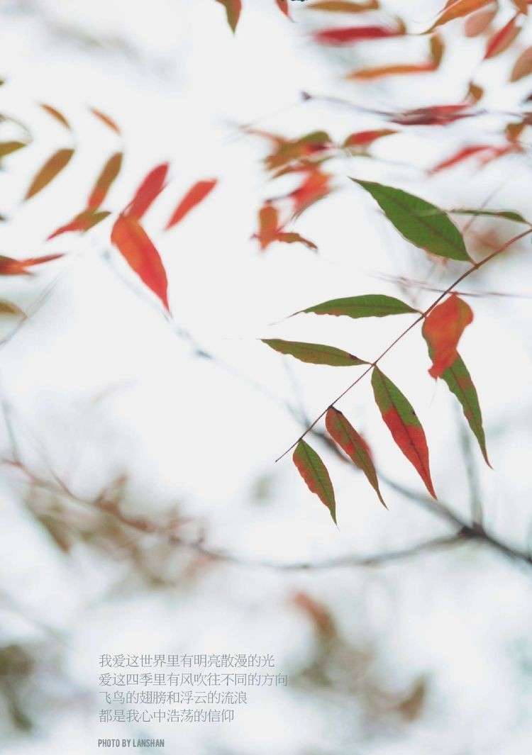 在河南，有一座山叫青龙山