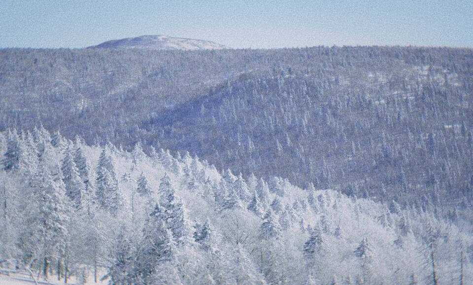 冬季旅游哈尔滨，6天5晚深度保姆级攻略，邂逅北国大地的冰雪奇缘