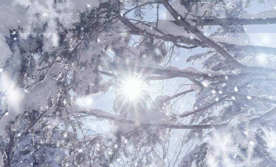 冬季旅游哈尔滨，6天5晚深度保姆级攻略，邂逅北国大地的冰雪奇缘