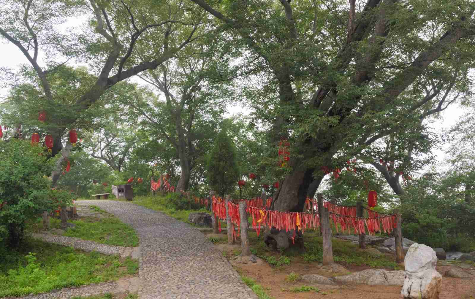 云台山中最美的峡谷，夏季平均22度是避暑胜地