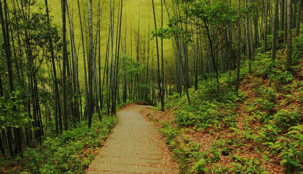 黄山十大景点排行榜，体验无梦是徽州的烟雨气息 你PICK谁？