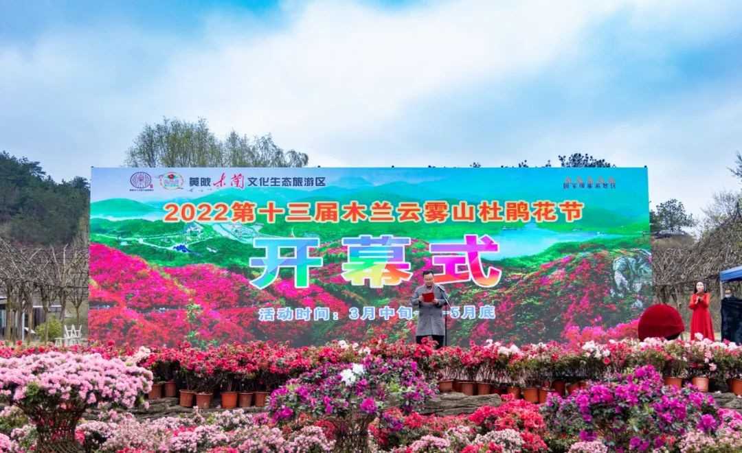 赏花正当时 | 2022第十三届木兰云雾山杜鹃花节开幕