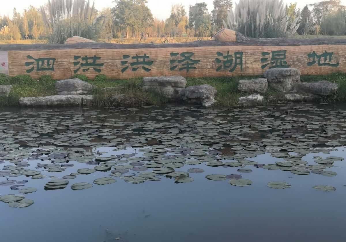 泗洪洪泽湖湿地公园（江苏宿迁5A级景区）