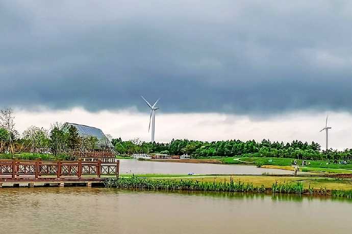 夏游东滩湿地公园，原生态的自然状态，有一种亲近大自然的享受