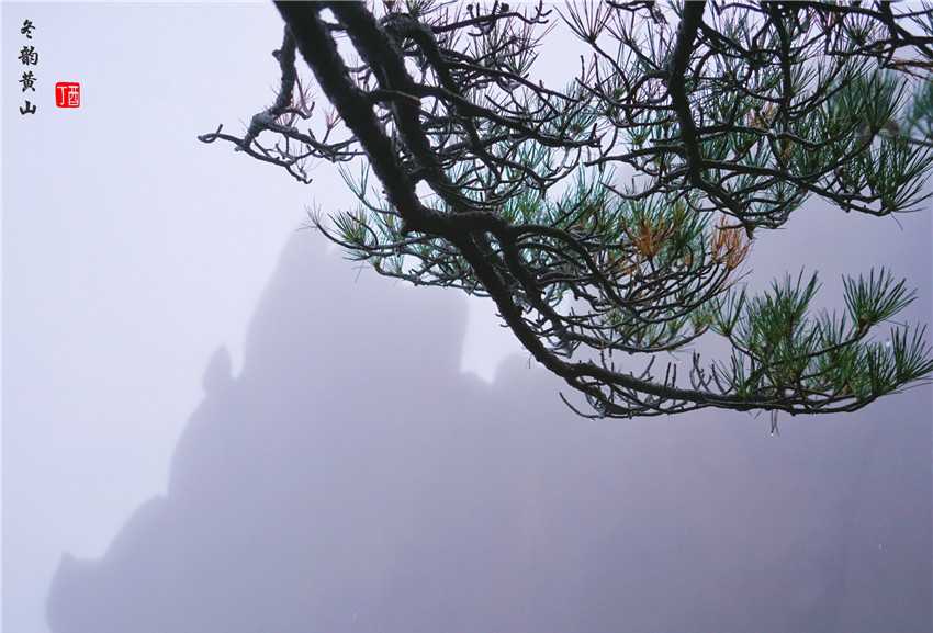 如今的黄山有了第五绝，也是黄山最美的季节