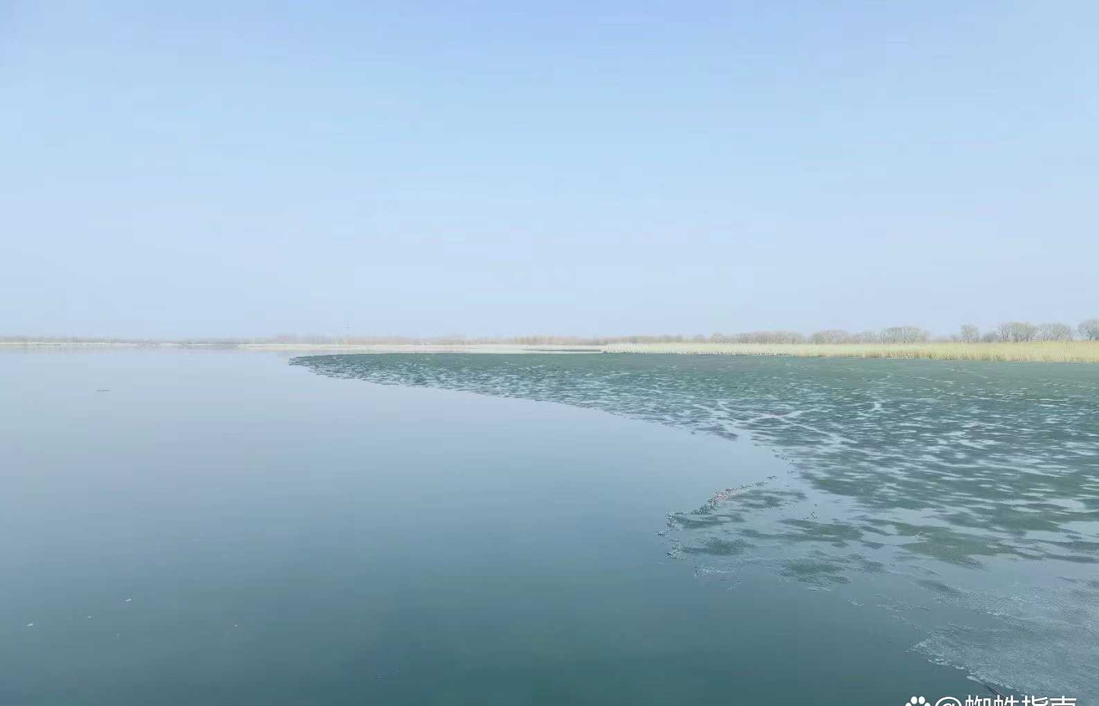 打卡北京野鸭湖湿地公园，环湖赏景，美得像是一幅诗意水墨画